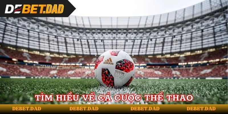 Tổng quan về loại hình cá độ thể thao Debet Tổng quan về loại hình cá độ thể thao Debet